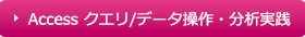 Accessクエリ/データ操作・分析実践