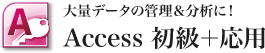 大量データの管理＆分析に！Access 初級＋応用