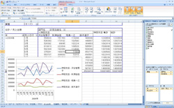 ピボットテーブル・ピボットグラフを用いたドリルダウン分析