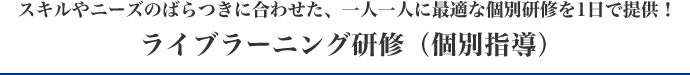 スキルやニーズのばらつきに合わせた、一人一人に最適な個別研修を1日で提供！ ライブラーニング研修（個別指導）