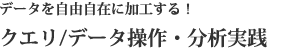 クエリ/データ操作・分析実践